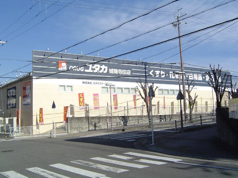 寺田深谷貸家 ドラッグストア