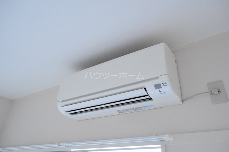 シロハイヌ向島 その他