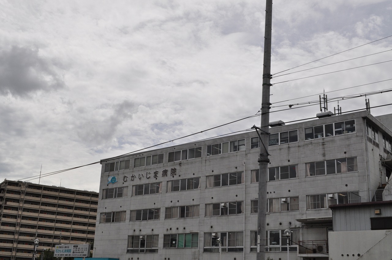シロハイヌ向島 総合病院