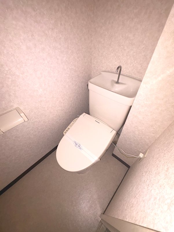 グリーンサム壱番館 トイレ