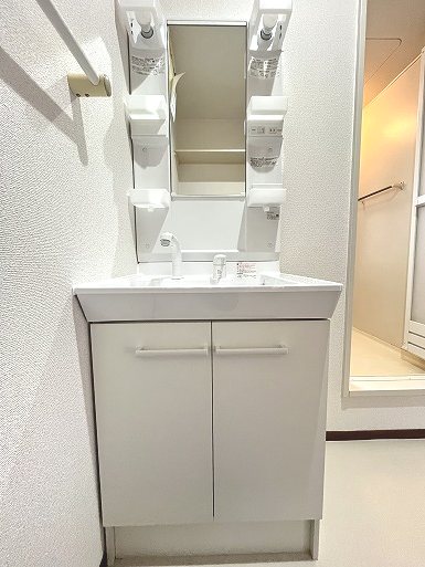 ハイカムールみず 洗面所