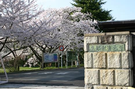 Luce Solare 大学・短大