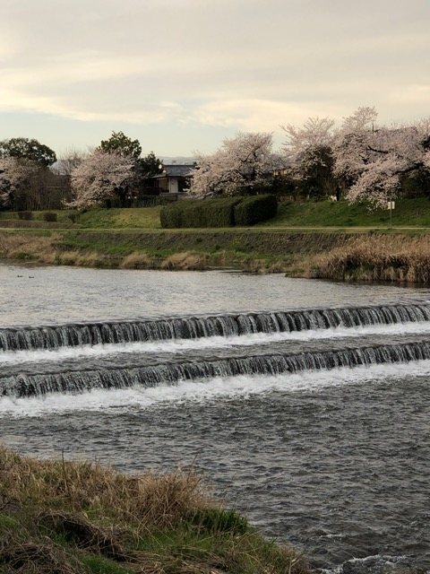 葵橋住宅 その他