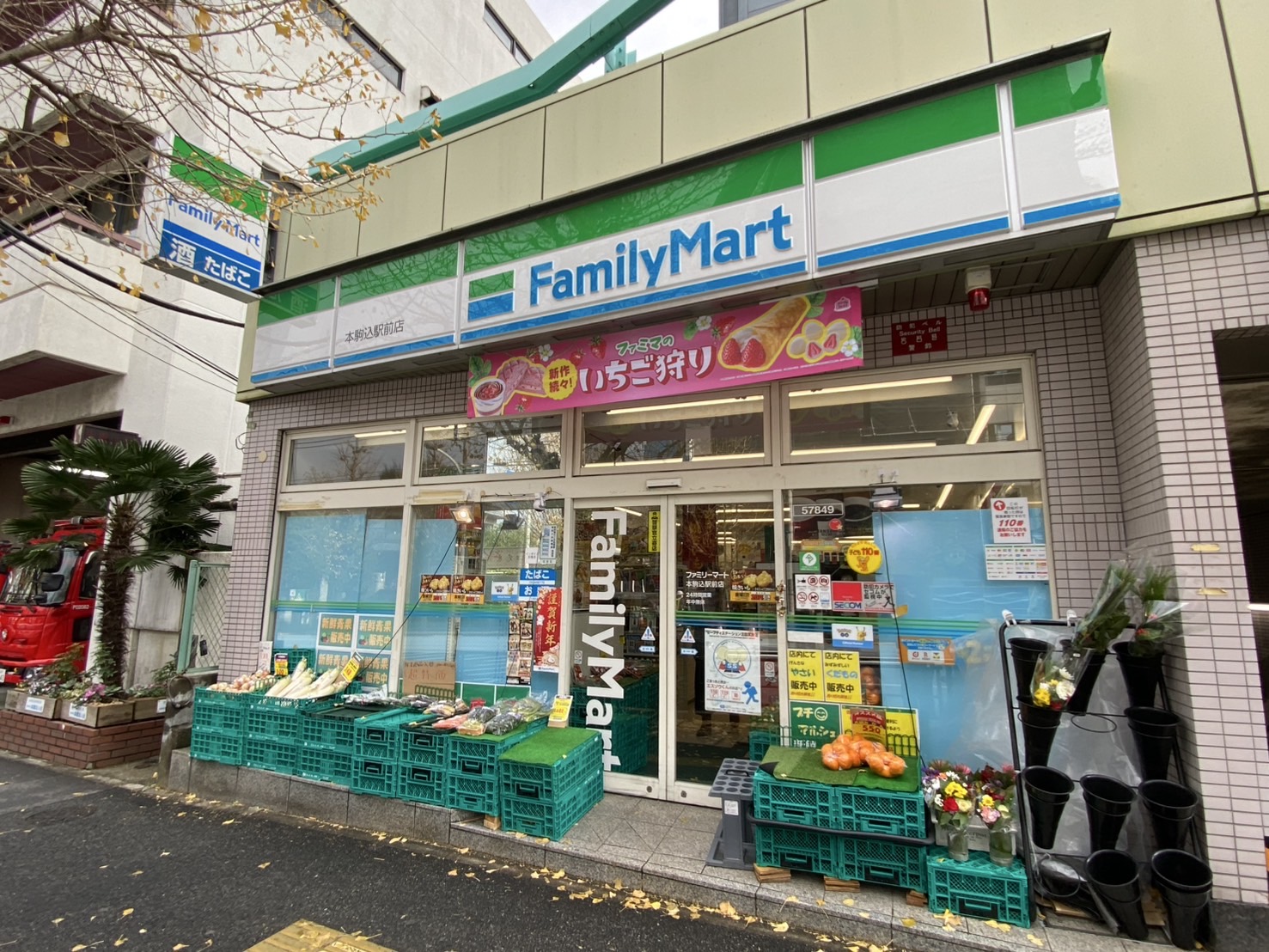 ロザージュ向丘 コンビニ