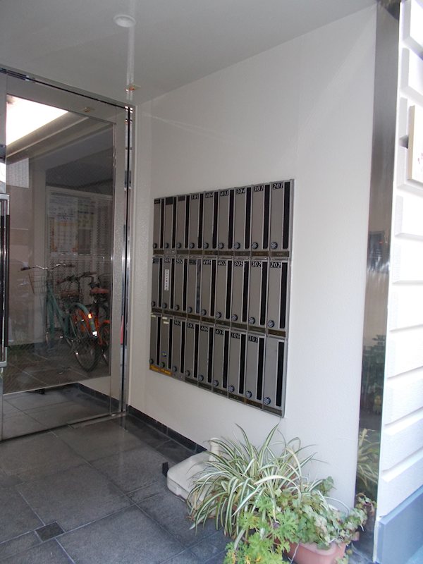 コスモカラホリＬＯＦＴ その他