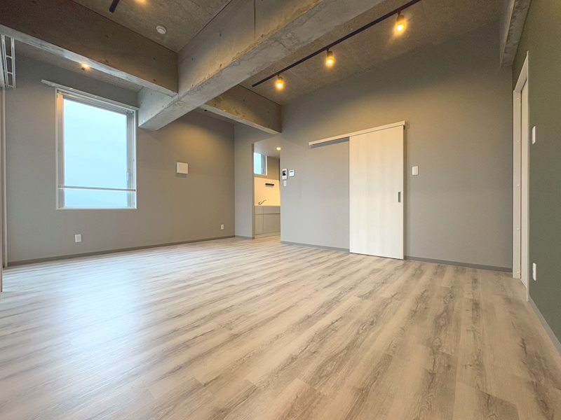 ALAISE その他