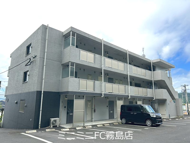 エステル 外観