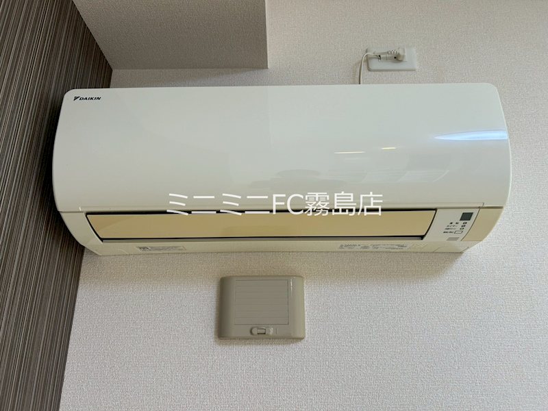 アルベラータⅡ その他