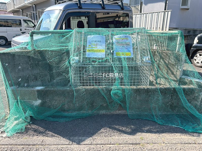 フレグランスヒロ エントランス