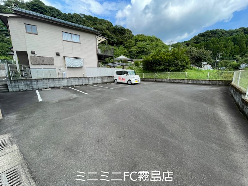 プルメリア その他