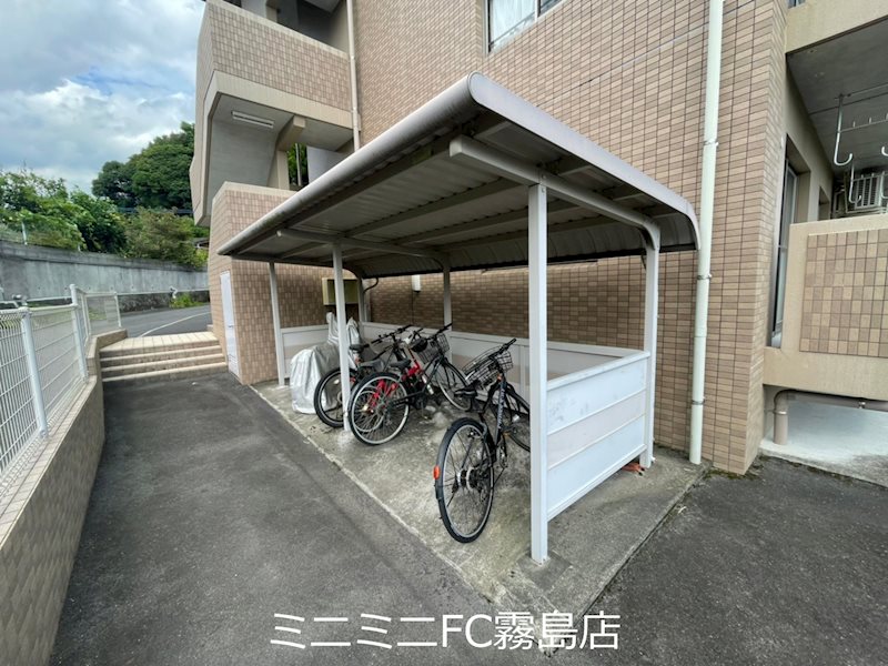 プルメリア その他