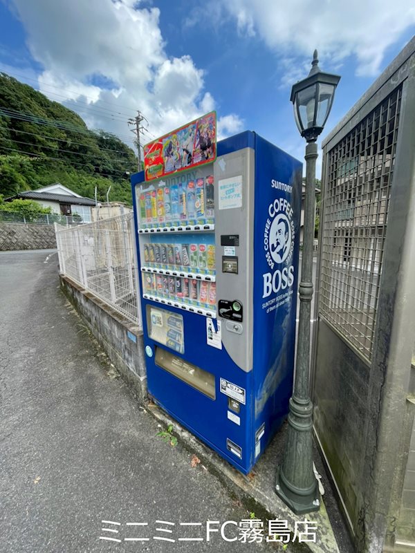 プルメリア その他