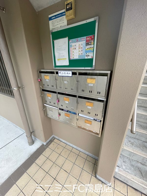 プルメリア その他