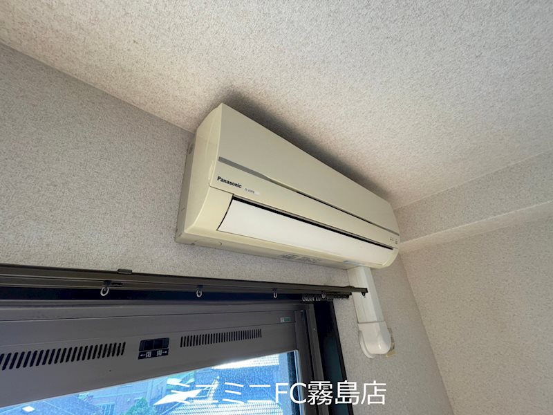 プルメリア その他