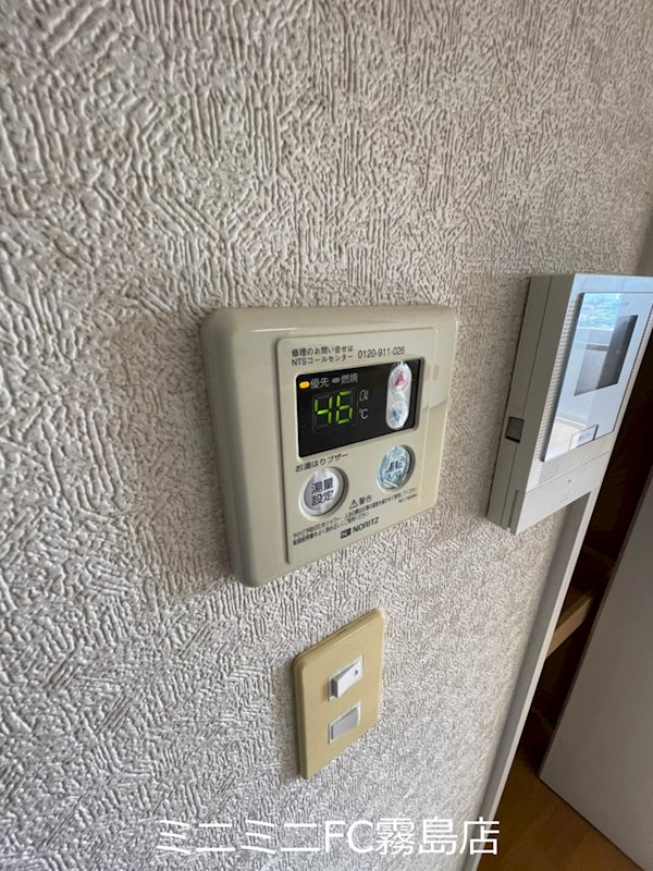 プルメリア その他