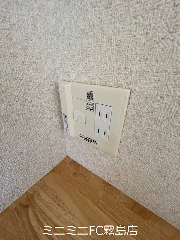 プルメリア その他