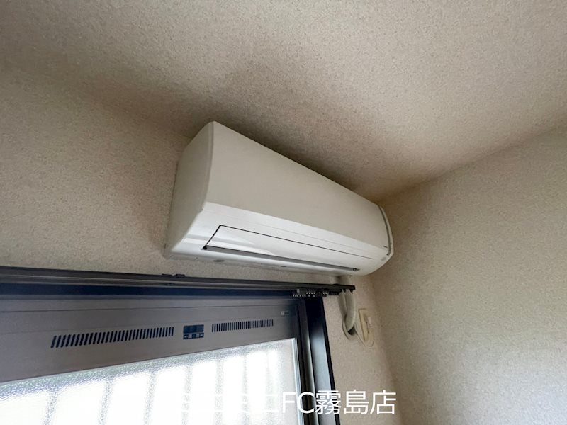 プルメリア その他