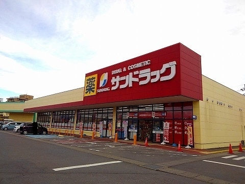　エベレスト ドラッグストア