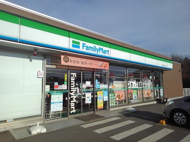 アスカ　Ｆ その他