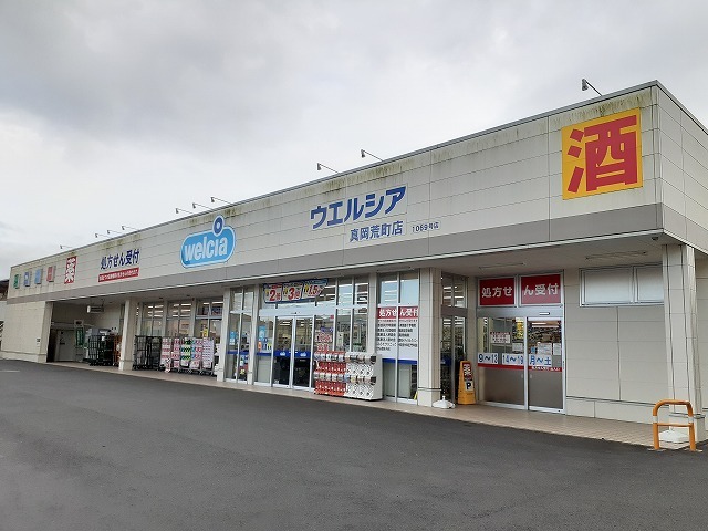 アンジュ その他