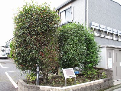 レオパレスグランジュール鹿沼Ⅰ その他