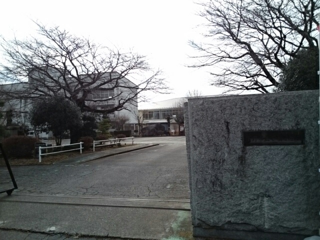 リブフラット　Ｃ その他