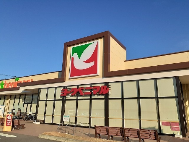エレガント その他