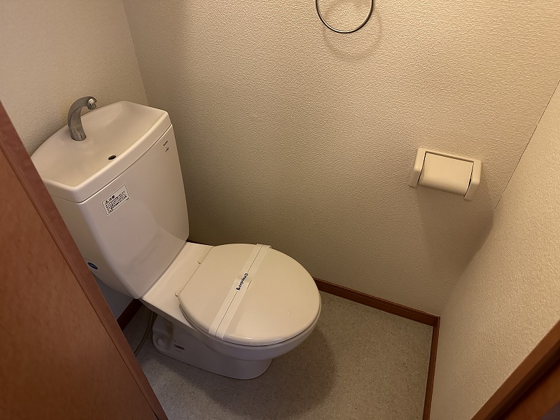 レオパレスパレスマンションⅤ その他
