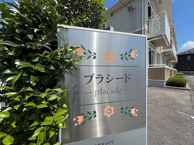 　プラシード　 その他