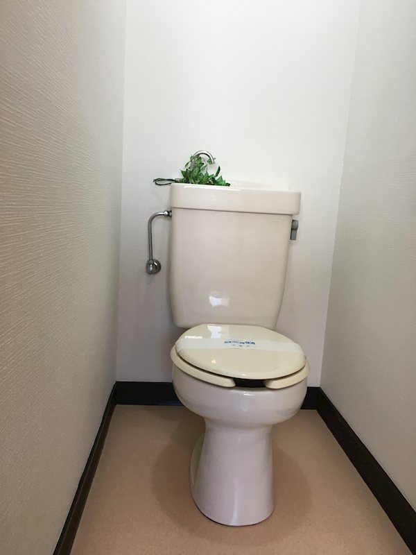 グリーンハイム青木 トイレ