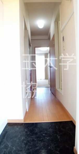 レオパレスサクラ土合  玄関