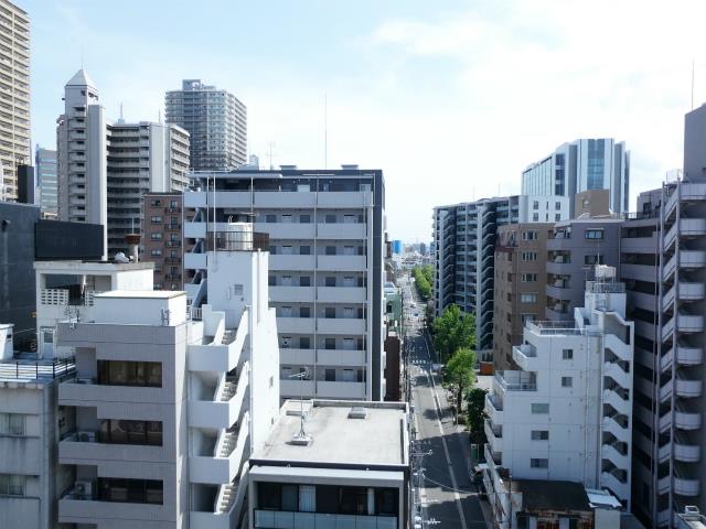 ＮＩＣアーバンスピリッツ川崎 眺望
