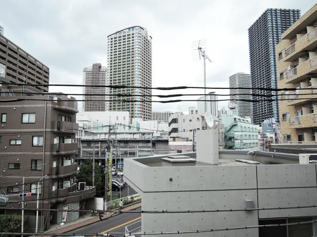 メゾン　プレール　ムサシコスギ 眺望