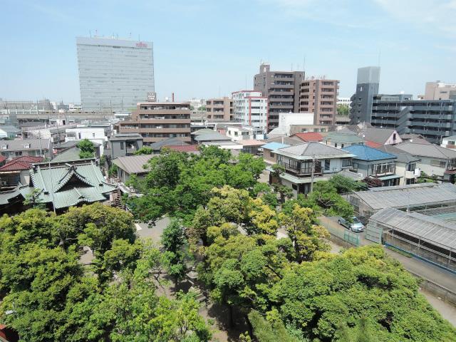 ルースト 眺望