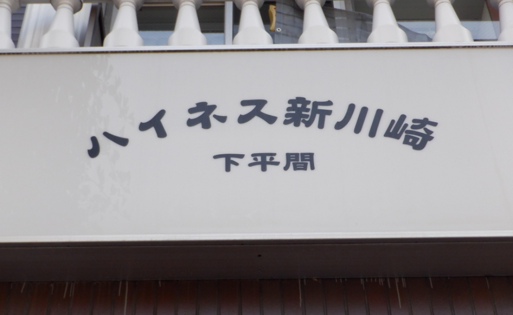 ハイネス新川崎 その他