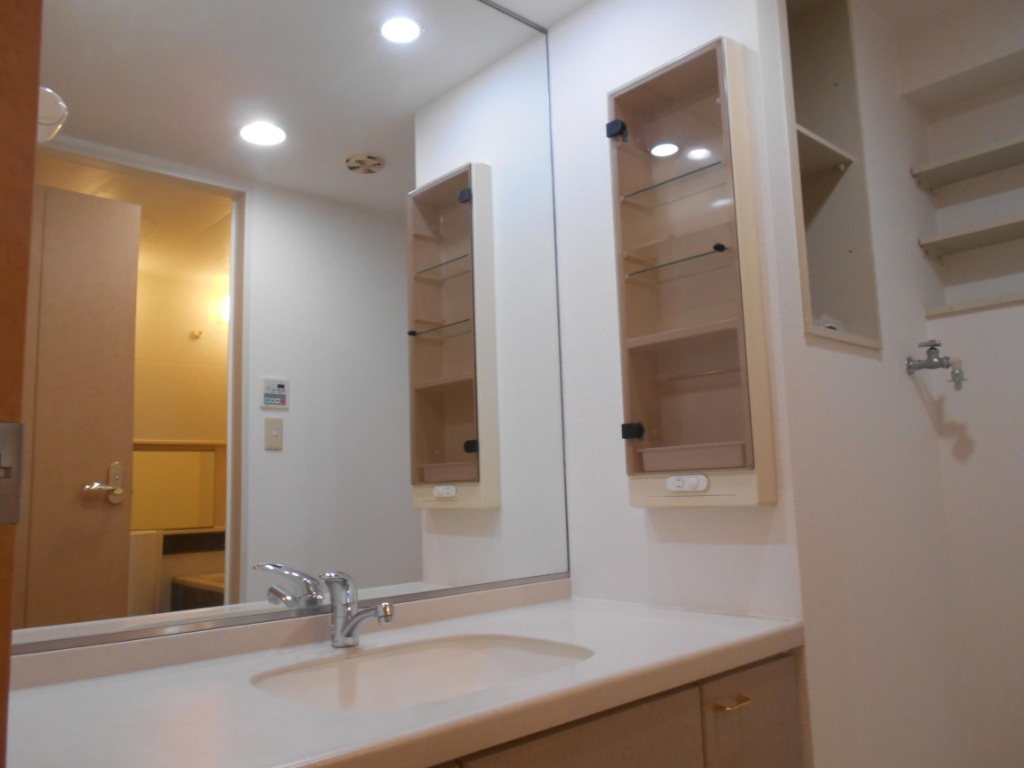 ナイスアーバン大島 洗面所