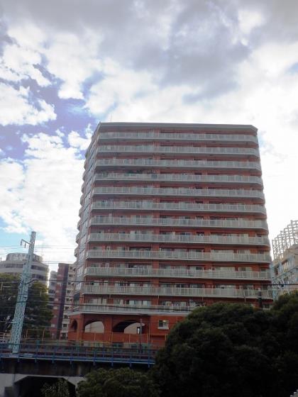 ロワール横濱レムナンツ 小学校