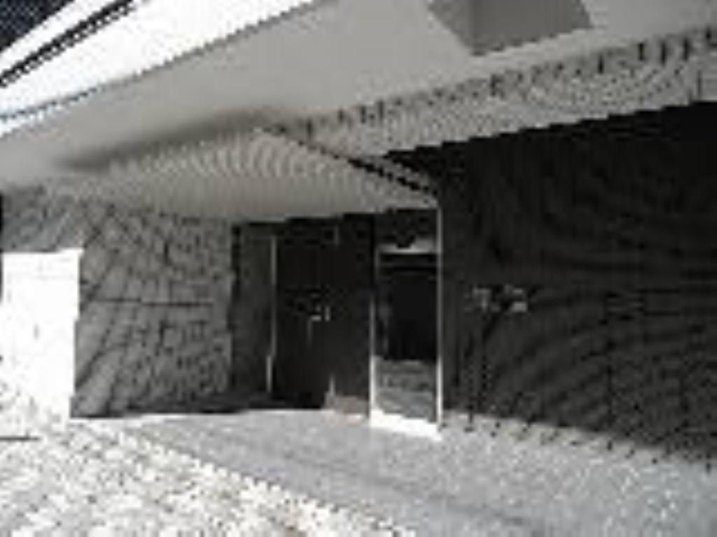 Ｐｅａｒｌ　Ｃｏｕｒｔ　Ｔｓｕｒｕｍｉ その他