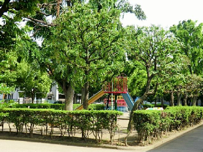 フェリーチェⅡ 公園
