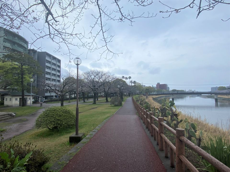 ペガサスビル 公園