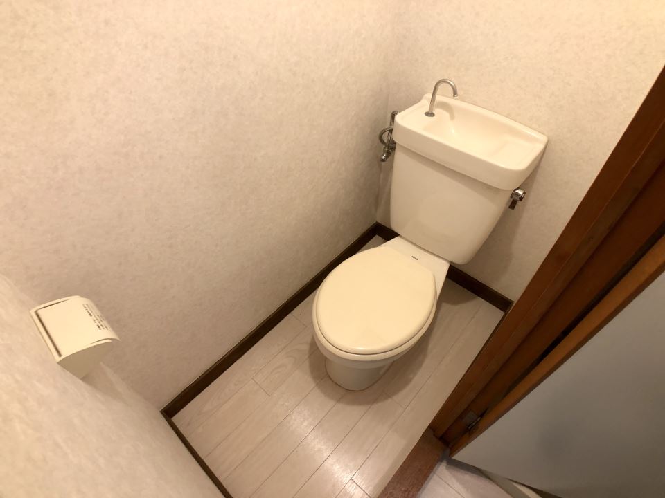 ヤングドミール トイレ