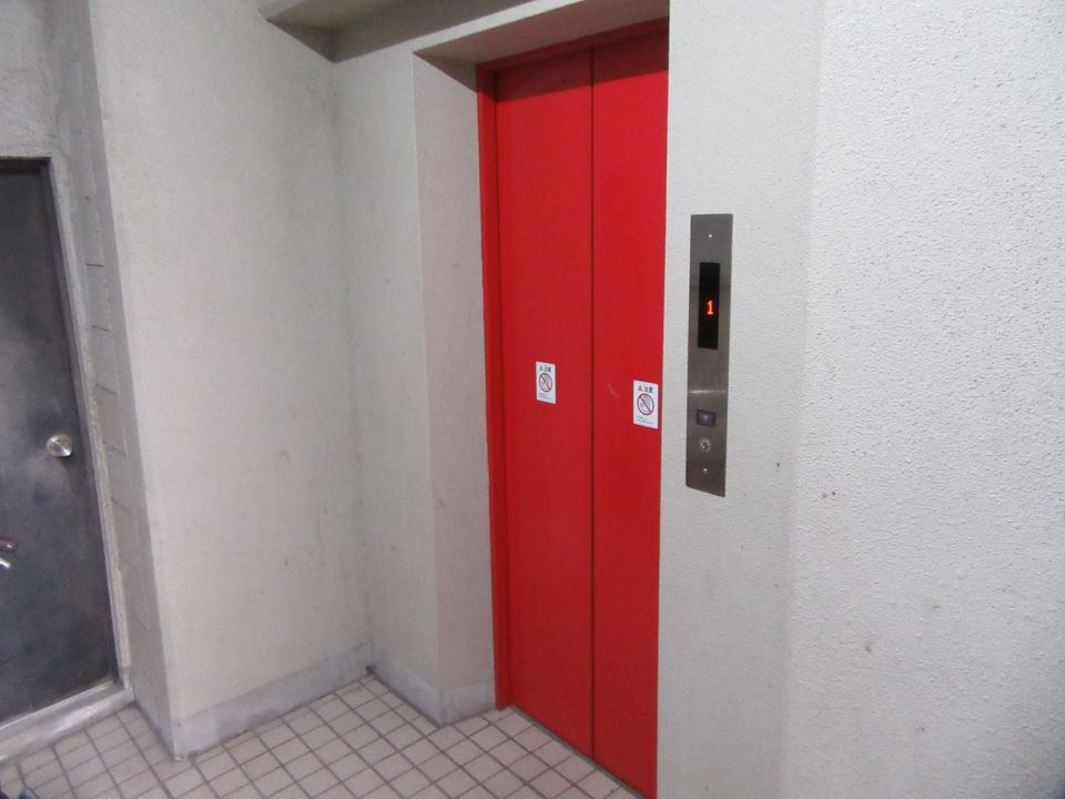 ヤングドミール その他