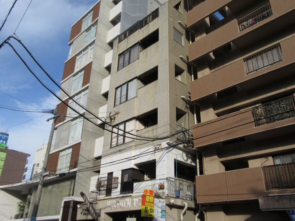 ヤングドミール 外観