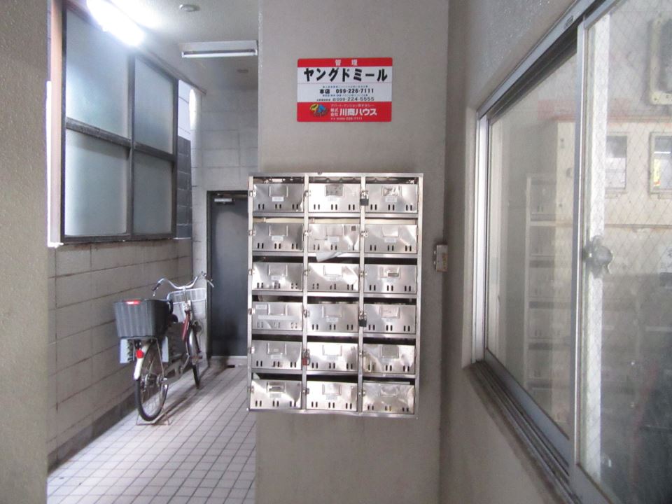 ヤングドミール 外観