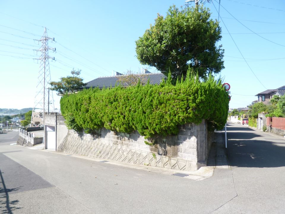 下村邸（武岡一丁目） 外観