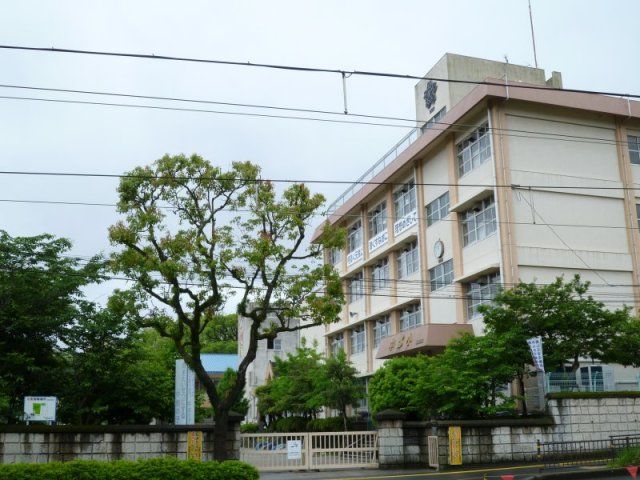 ロフティ郡元駅前１００３号 小学校