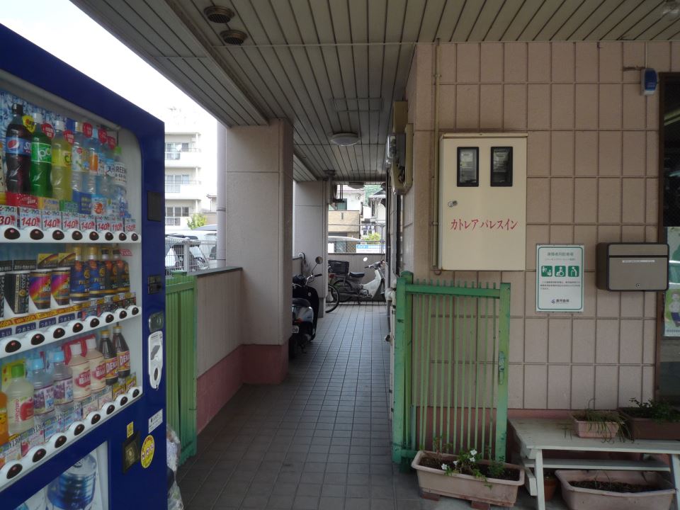 カトレアパレスイン 外観