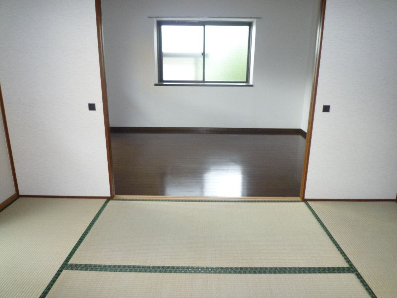 アイリス光 その他