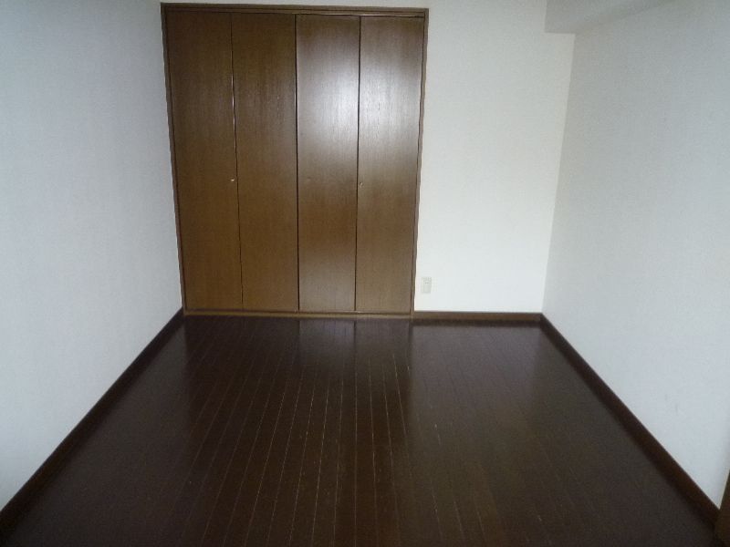 アイリス光 その他