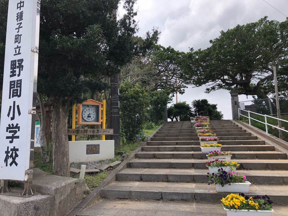 Ｍハイツ 小学校